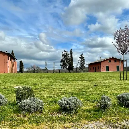 Terracotta Nel Podere Gretano Paganico (Grosseto)