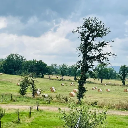 Appartement Terracotta Nel Podere Gretano Paganico (Grosseto)